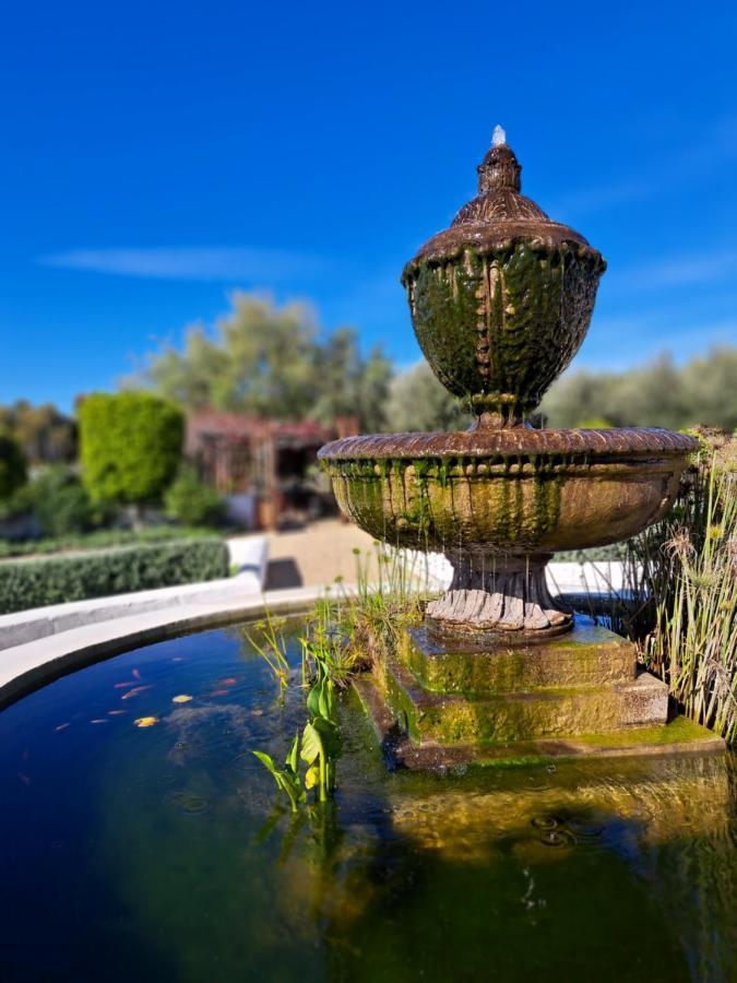 Olive Grove Cottage Koringberg Exterior foto